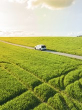 Car driving on a country road through vast green fields in sunlight, ID3 VW, deer car sharing.