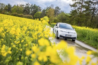 White car drives on a narrow road through a blooming yellow field in rural surroundings, ID3 VW,