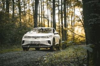 A white car is parked on a forest path surrounded by trees at sunset, VW ID4 electric car, deer car