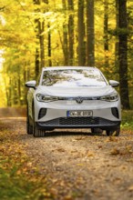 White car on a path through the golden autumn forest in sunlight, VW ID4 electric car, Deer