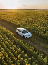 Car drives through a sunflower field in the evening, surrounded by nature, VW ID4 electric car,