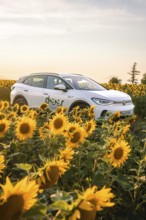White car surrounded by sunflowers at sunset, VW ID4 electric car, Deer Carsharing, Calw, Germany