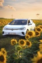 A white car drives through a blooming sunflower field in sunny sky, VW ID4 electric car, deer car