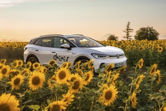 White car parked in a sunflower field at sunset, VW ID4 electric car, Deer Carsharing, Calw,