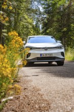 White Volkswagen on a forest road with yellow flowers in the foreground, VW ID4 electric car, Deer