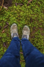 View from above of two feet in shoes standing on moss, Unterhaugstett, Calw district, Germany