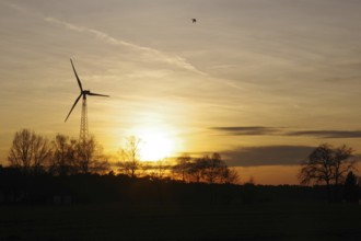 Landscape, wind generator, sunset, orange, atmospheric, winter, Germany, colorful sunset between