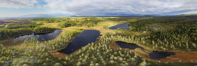 Panoramic view of lakes between forests and moors under cloudy sky, drone shot, aerial view,
