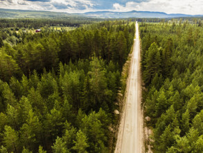 Aerial view of a long road through thick, green pine forest under blue, cloudy sky