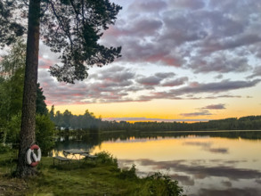 A calm lake at sunset with cloud reflection and trees and red white lifebuoy in the foreground,