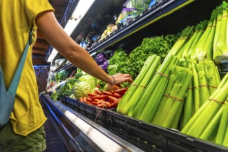 Customer selecting fresh celery stalks from a refrigerated display case filled with various