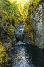 Englishman river falls cascades through a vibrant canyon, creating a picturesque scene of natural