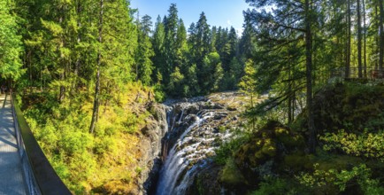 Englishman river falls cascades down a rocky gorge, surrounded by vibrant green forest and a