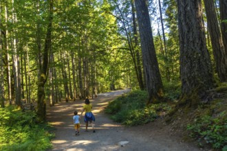 Mother and son enjoying a peaceful stroll along a serene forest path, surrounded by vibrant