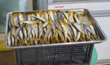 A tray full of dried fish with golden heads, Akhaltsikhe market, Akhaltsikhe, Samtskhe-Javakheti