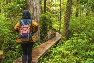 Female tourist with backpack walking on wooden path in rainforest trail near ucluelet, enjoying