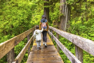 Mother and child enjoying a peaceful walk on a wooden boardwalk through a lush rainforest,