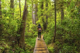 Female tourist with a backpack walking along a wooden path, immersing in the lush greenery of a