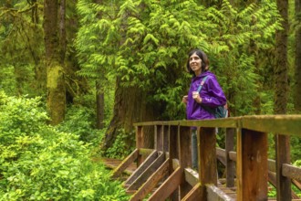 Female tourist hiking with a backpack along a tranquil rainforest trail, crossing a wooden bridge