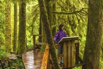 Tourist guide explaining details about rainforest ecosystem on a wooden platform in the rainforest