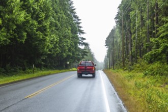 Red pickup truck driving away on a scenic rainforest road during a cloudy day in ucluelet, a small
