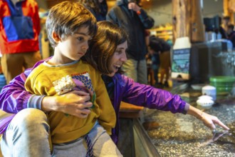 Mother holding her son while pointing at fascinating aquatic animals in a touch tank, fostering a