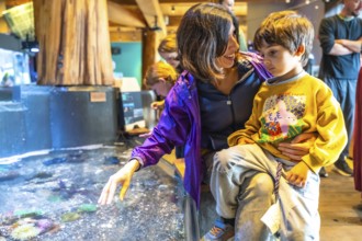 Mother holds her son while pointing at the diverse marine life within a touch tank at an aquarium,