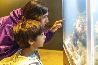 Mother pointing at fish in large aquarium tank, sharing educational moment with her son, promoting