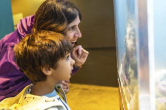 Mother and son are enjoying a day at the aquarium, marveling at the colorful fish and other marine