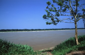 Amazon near Iquitos, Peru, South America, September 1997, vintage, retro, old, historic