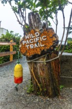 Rusty sign marking the wild pacific trail in ucluelet, british columbia, featuring a weathered