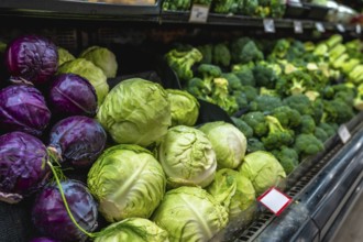 Fresh green and red cabbages and broccoli heads are neatly arranged on a refrigerated shelf in a