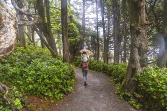Hiker walking in the rain holding an umbrella on a trail through lush green forest in ucluelet,