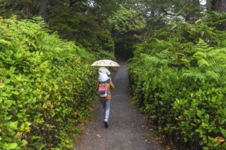 Mother carrying her child on her shoulders, holding an umbrella and walking on a path in a lush