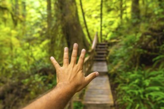 Hand reaching toward wooden stairs leading into a lush green rainforest trail in ucluelet,