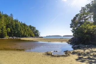 Calm inlet waters reflecting a vibrant blue sky create a serene coastal landscape with lush green