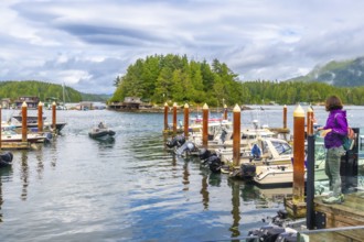 Tourist enjoying a scenic view of boats moored at a wooden dock in tofino harbor, framed by a tree