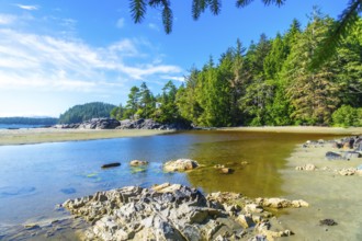 Crystal clear water gently caresses the sandy shores of mackenzie beach. Where lush evergreen
