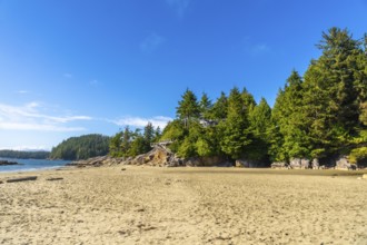 Beautiful house nestled among lush green trees overlooks a pristine sandy beach in tofino,
