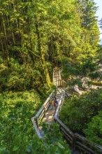 Two tourists are enjoying a leisurely walk on a wooden footbridge, surrounded by the vibrant green