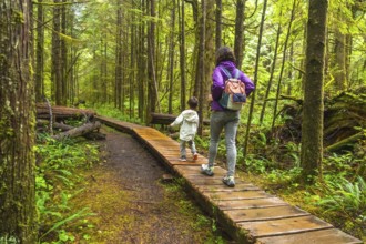 Mother and child are enjoying a hike through a lush rainforest trail in ucluelet, british columbia,