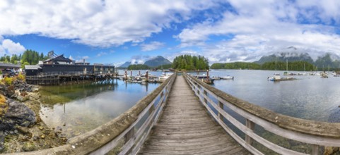 Panoramic view of a wooden pier leading to a harbor with boats, surrounded by lush forests and