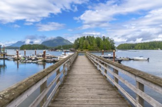 Long wooden pier leading to a small forested island in tofino harbor, vancouver island, british