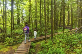 Mother and child walking on a wooden boardwalk in a lush green rainforest trail near ucluelet on