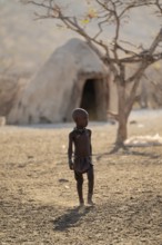Child in front of Himba hut, traditional Himba village in the savanna, arid landscape, Kaokoveld,