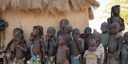 Group of children in the village, Hakaona tribe, also Havakona or Hakawona, near Opuwo, Kunene,