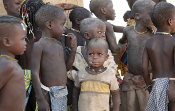 Many children, Hakaona tribe including Havakona or Hakawona, near Opuwo, Kunene, Namibia
