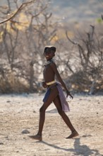 Himba child running in the village, traditional Himba village, Kaokoveld, Kunene, Namibia