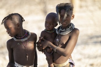 Himba children, traditional Himba village, Kaokoveld, Kunene, Namibia