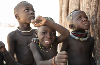 Portrait, curious Himba kids, traditional Himba village, Kaokoveld, Kunene, Namibia